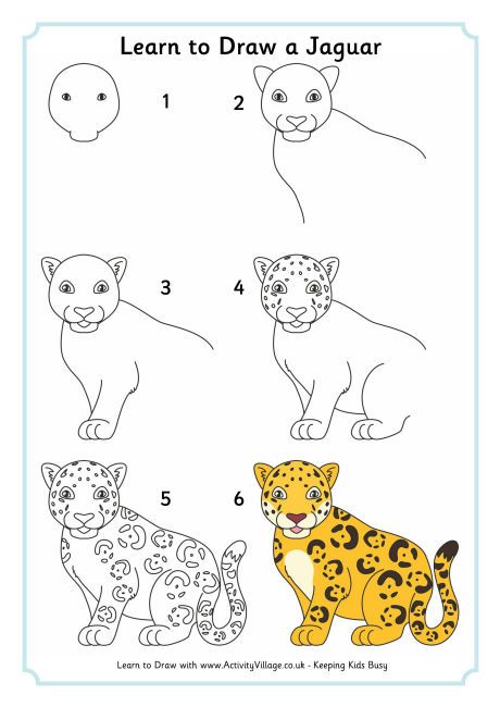 Use this Jaguar Directed Draw with our Rainforest Habitat Unit! Zoo Drawing For Kids Easy, Jaguar Drawing Easy, African Animal Drawings, Jaguar Drawing, Jungle Drawing, Cheetah Drawing, Drawing Easy Step By Step, Simple Diys, Easy Cartoon