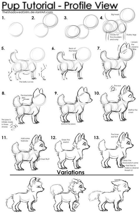 Pup tutorial by TheShadowedGrim on DeviantArt: Drawing Anatomy, Drawing Eyes, Drawing Animals, Animal Doodles, 강아지 그림, Homeschool Art, Sketch Ideas, Fairytale Art, Animal Sketches