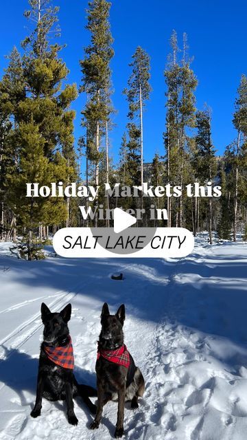 Winter Markets, Utah Road Trip, Holiday Market, Snow Storm, Holiday Shopping, Shop Local, Lake City, Salt Lake City, Utah