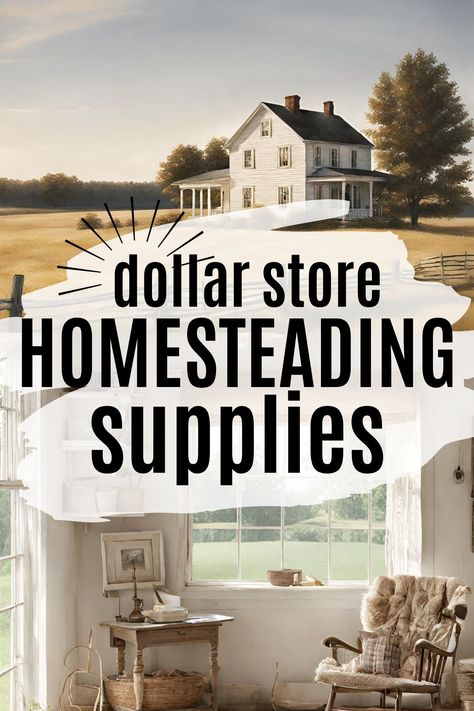 Who says you need to break the bank to live off the land? 🤔 Discover how to create your own homesteading haven without emptying your wallet! 💸💚 We're sharing our top tips and tricks on making the most of your dollar store homesteading supplies to create a sustainable lifestyle! 🏡🌱🌿🌼✨ Homesteading Skills Frugal Living, Homestead Hacks Diy, Homesteading Without Land, Cheap Homestead Ideas, Homesteading In The Desert, Small Scale Homesteading, Tiny Home Homestead, Homesteading For Beginners Diy, Home Steading For Beginners