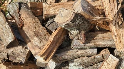 Background Science, Wood Pile, Oak Logs, Winter Images, A Wood, Red Oak, Vector Background, Cold Winter, Soil