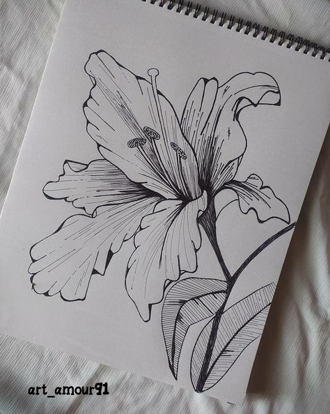 Sketchbook Flowers Drawings, Flower Drawing Collage, Flower Drawings Pencil, Arts To Draw, Flower Pencil Sketches, Art Sketches Pen, Aesthetic Flower Sketch, Skecth Arts, Flower Pen Drawing