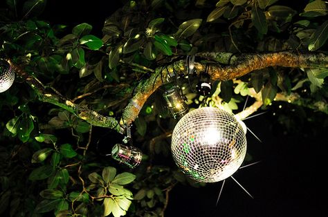 Uplighting on disco balls in trees. Brilliant! Disco Ball Outdoor, Disco Ball Garden, Disco Forest, Disco Kitchen, Disco Ball Tree, Memorial Service Decorations, Outdoor Dance Floors, Fantasy Party, Witch Party