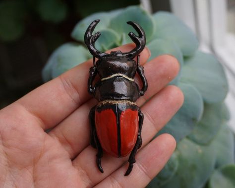 RED DEER BEETLE / Deer beetle hair clip Red Beetle hair clip | Etsy Beetle Accessories, Red Beetle, Cool Bugs, Stag Beetle, Gifts For Aunt, Beautiful Bugs, Red Deer, Pottery Crafts, Bugs And Insects