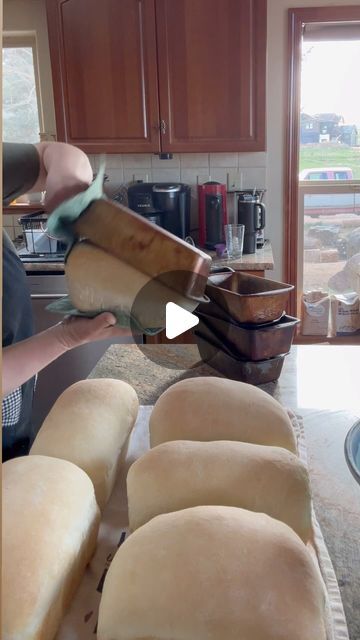 Rachel Ballinger on Instagram: "Popping the freshly baked loaves of bread out of the pans is so satisfying. Here’s my sandwich bread recipe! Mamaw is my mom. You can also find the recipe on my blog www.myeverydayordinarylife.com. ♥️🍞  Mamaw’s Homemade Bread 5 cups lukewarm water 4 tbsp sugar or honey  4 tsp salt 4 tsp active dry yeast 5 tbsp olive oil  10-12 cups all purpose flour, and more as needed   In a large bowl put the water, sugar, and salt. Sprinkle the yeast on top. Add the oil and stir in flour. Continue adding flour and kneading until a smooth elastic dough is formed. Knead for about 6-8 minutes.  Cover and let rise for one hour or until doubled in size.  Oil hands and bowl and punch down dough. Cover and let rise until double.  Form loaves and place in oiled bread pans. Cover Ancient Grains Bread, Bread Pans, Sandwich Bread Recipe, Loaves Of Bread, Homemade Sandwich, Active Dry Yeast, Sandwich Bread Recipes, Muffin Bread, Best Bread Recipe