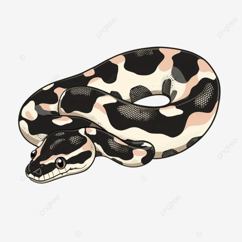 cute pied ball python cartoon animals art ball png Python Illustration, Ball Python Art, Python Art, Pied Ball Python, Ball Png, Png Art, Ball Python, Transparent Image, Animals Art