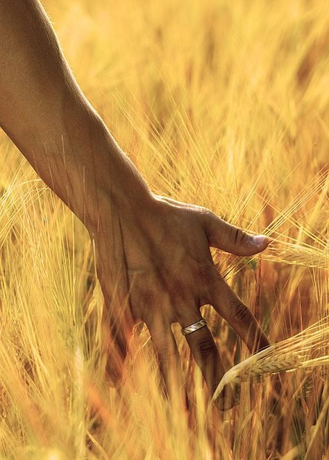 Country Lisa Gerrard, Gladiator Movie, Kubo And The Two Strings, Fields Of Gold, Tyler Durden, Septième Art, Wheat Field, Wheat Fields, Six Of Crows