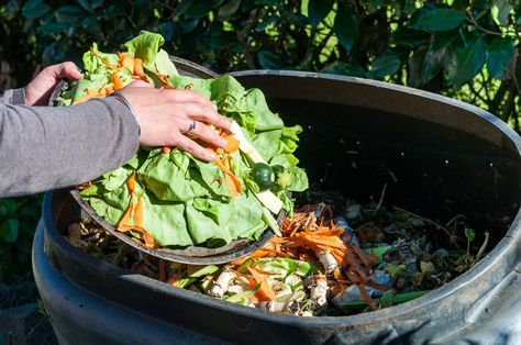 Have you been thinking about composting but not sure what's involved? Understanding the basics of composting can make it a less intimidating process. Diy Fertilizer, Composting Process, Vegetable Scraps, How To Make Compost, Composting At Home, Organic Compost, Yard Waste, Kitchen Waste, Liquid Fertilizer