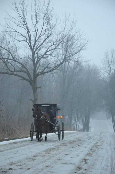 Amish Living, Horse Drawn Carriage, Media Photography, Book Board, I Love Winter, Ciel Phantomhive, Lancaster County, Amish Country, Winter Magic