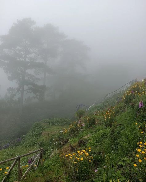 Foggy Meadow Aesthetic, Foggy Spring Morning, Foggy Summer Morning, Misty Morning Aesthetic, Irish Countryside Aesthetic, Morning Fog Aesthetic, Foggy Weather Aesthetic, Paloma Core, Foggy Countryside