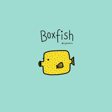 #boxfish #ocean #sea #ipad #ipadpro #procreate #apple #applepencile #doodle #drawing #cartoon #art #animals #alphabet #cute #facts #wildlife #conservation #nature #ecology Box Fish Drawing, Boxfish Drawing, Boxfish Tattoo, Cartoon Art Animals, Tiny Drawings, Box Fish, Animals Alphabet, Box Painting, Alphabet Animals