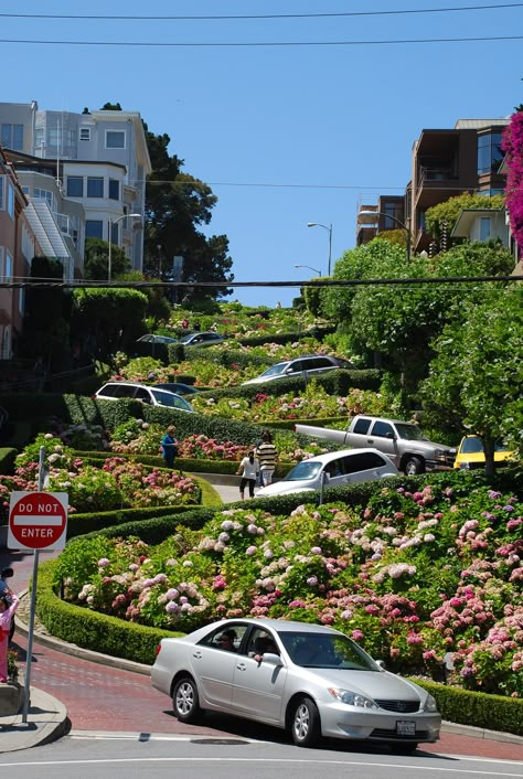 Lombard Street, San Francisco, California Travelling Pics, San Francisco Lombard Street, San Francisco Buildings Aesthetic, Sanfransisco Street Aesthetic, Lombard Street San Francisco, San Francisco Steep Street, Mission District San Francisco, San Francisco Pictures, San Francisco At Night