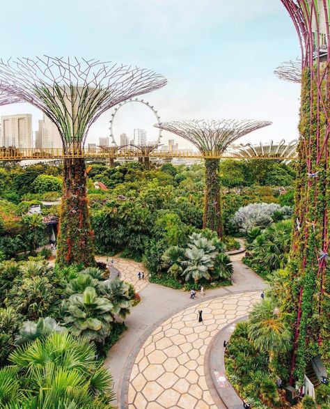 Singapore Plant Building, Desny Land, Flower Canopy, Gardens By The Bay Singapore, Landscape Design Drawings, City Island, Gardens By The Bay, Green Park, Smart City