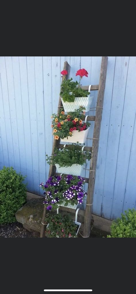 Garden Ladder Ideas, Bamboo Garden Fences, Garden Ladder, Diy Jardin, Old Ladder, Succulent Garden Design, Garden Decor Diy, Garden Decor Ideas, Have Inspiration