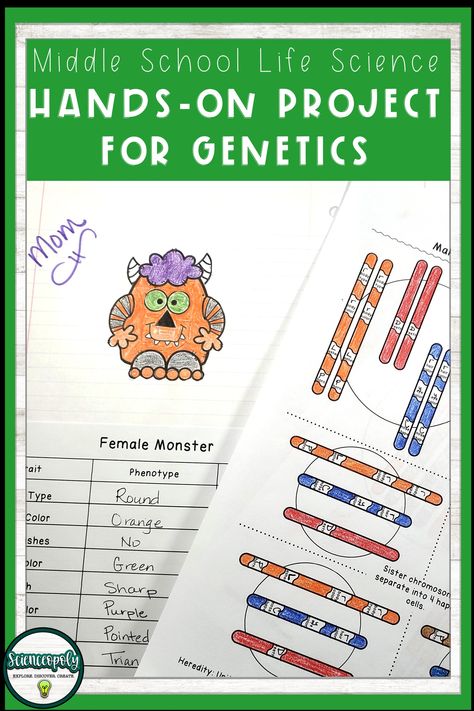 Genetics Lessons Middle School, Dna Middle School Activities, Genetics For Elementary Students, Genetics Activities Middle School, Genetics Project, Genotype And Phenotype, Middle School Life Science, Science Genetics, Evolution Activities