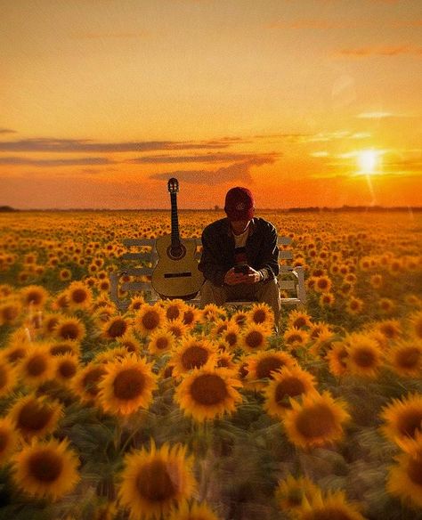 Sitting In A Field Of Flowers, Person In Flower Field, Sunflower Field Aesthetic, Sunflowers Aesthetic, Study 2023, Sunflower Field Photoshoot, Sunflower Photos, A Field Of Sunflowers, Field Of Sunflowers