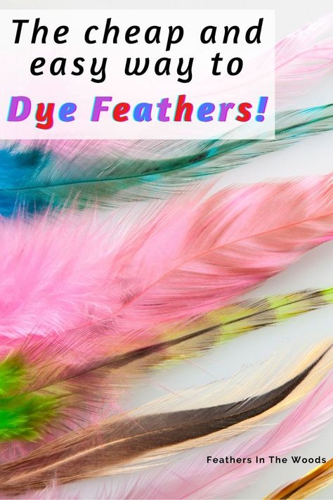 What To Do With Feathers, Chicken Feather Crafts, Feather Crafts Ideas, Feather Art Projects, Feather Earrings Diy, Feather Ideas, Colored Feathers, Dipped Feathers, Feather Crafts Diy