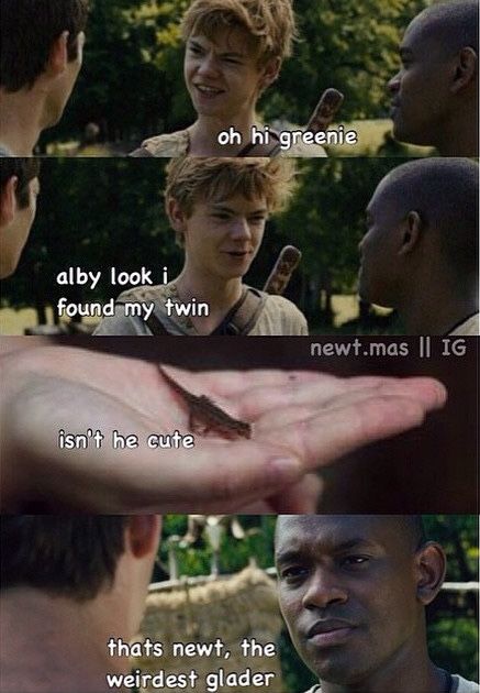 Newt #themazerunner Newt X Reader, Runner Jokes, Maze Runner Thomas, Maze Runner The Scorch, Maze Runner Trilogy, Maze Runner Funny, Maze Runner Imagines, Maze Runner Cast, Maze Runner Movie