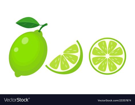 Lime Illustration, Leaf Vector Illustration, Lime Vector, Lime Wallpaper, Leaf Vector, Water Coloring, Kids Game, Rug Ideas, Green Leaf