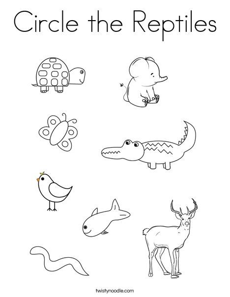 Circle the Reptiles Coloring Page - Twisty Noodle Mammals And Reptiles Worksheet, Reptiles Worksheets For Preschool, Reptiles For Kindergarten, Reptiles Worksheets For Kindergarten, Reptile Worksheets Preschool, Reptiles Activities For Preschool, Reptile Theme Preschool, Reptile Preschool Activities, Reptile Activities For Preschool