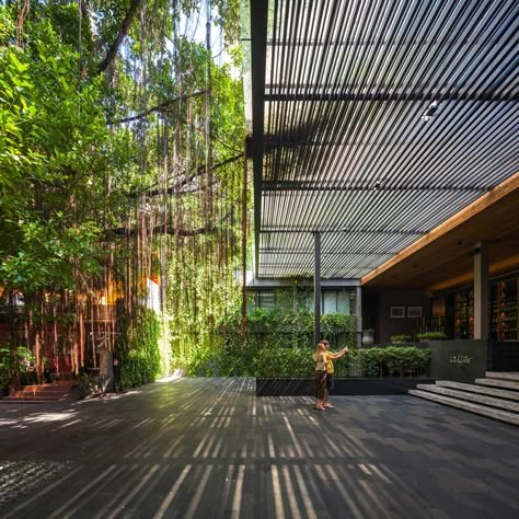 Under the Ficus Shade – Garden at Ad Lib Hotel « Landezine International Landscape Award LILA Canopy Architecture, Canopy Bedroom, Backyard Canopy, Hotel Entrance, Garden Canopy, Diy Canopy, Pergola Attached To House, Entrance Door Design, Pergola Canopy