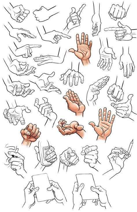 Richmond Illustration Inc. Asl Hand Drawing, Tom Richmond, Cartoon Drawings Of Animals, Client List, Anime Hands, Hand Drawing Reference, Hand Reference, Caricature Drawing, Gesture Drawing