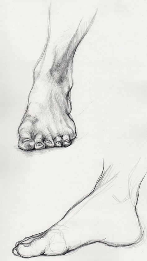 drawing of feet - google search Drawing Feet Reference, Foot Drawing Reference Tutorials, How To Draw Feet Front View, Foot Anatomy Drawing, Feet Drawing, Male Figure Drawing, Human Anatomy Drawing, Human Figure Drawing, Human Anatomy Art