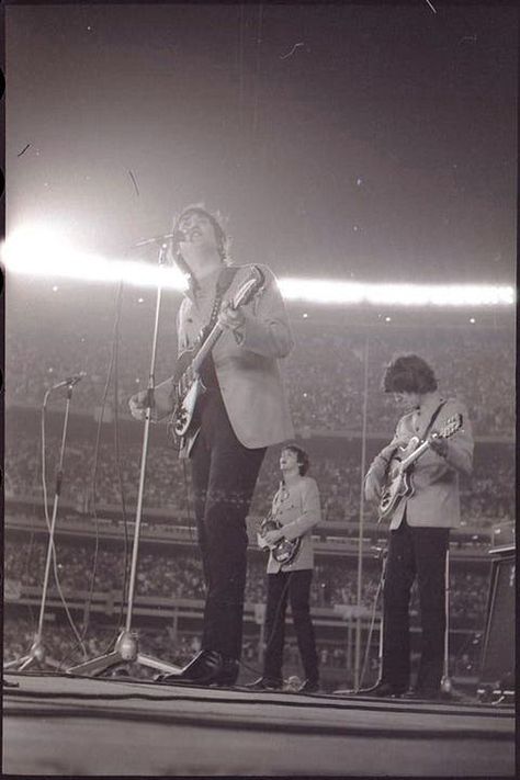 Beatles Shea Stadium, The Beatles Live, Shea Stadium, Chelsea Hotel, John Lennon Beatles, Beatles John, Paul George, Photographs Of People, The Fab Four