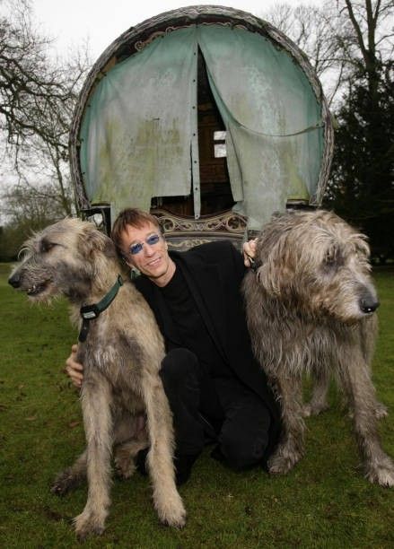 The Bee Gees, Irish Wolfhounds, Robin Gibb, Different Animals, Interesting Animals, Irish Wolfhound, Bee Gees, Gentle Giant, The Bee