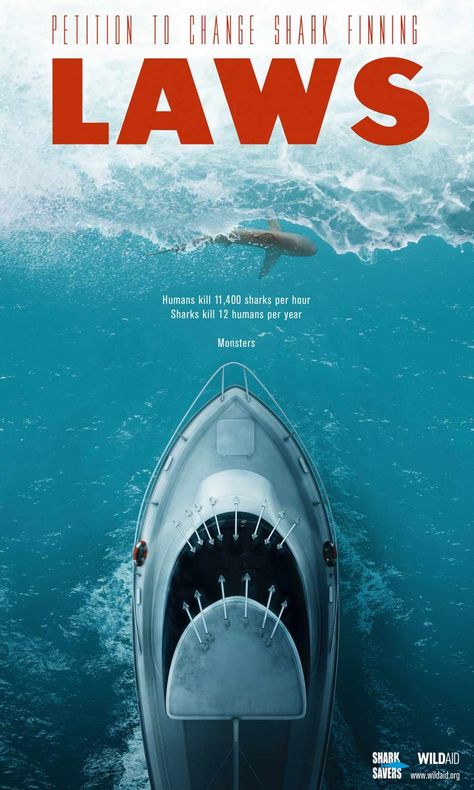 Wild Aid:  Shark Finning Laws Monster Shark, Save The Sharks, Shark Conservation, Save Our Earth, Anne With An E, Shark Week, Marine Biology, Marine Animals, Save Earth