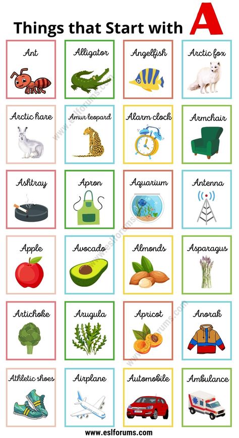 224 Cool Things that Start with A for Kids Words That Start With A Preschool, Animals That Start With A, Things Start With Letter A, Things That Start With The Letter A, Words That Start With A, Things That Start With A, Letter A Flashcards, Adjectives Grammar, Summer Alphabet