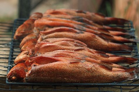 Basic Brine for Smoked Fish - Powered by @ultimaterecipe Smelt Recipe, Smoked Fish Recipe, Fresh Fish Recipes, Basic Brine, Smoker Cooking, Brine Recipe, Smoked Fish, Cooking 101, Smoked Food Recipes