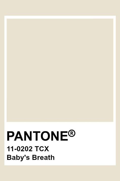 Off White Pantone, Pantone White, White Pantone, Pantone Tcx, Pantone Color Chart, Pantone Swatches, Pantone Palette, Pantone Colour Palettes, Pantone Colors