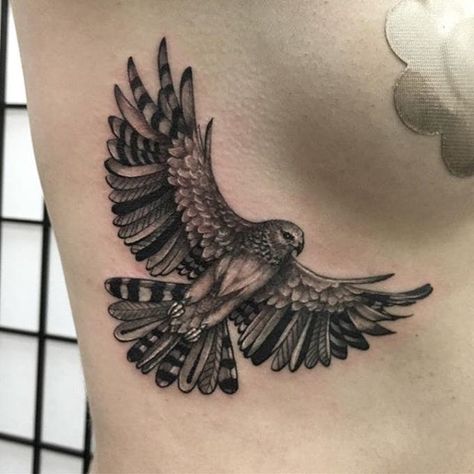 Decorative hawk tattoo by Beau Parkman. #blackandgrey #realism #BeauParkman #bird #decorative #hawk Dotwork Tattoo Mandala, Falcon Tattoo, Hawk Tattoo, Vogel Tattoo, Eagle Tattoos, Back Of Shoulder Tattoo, Eagle Tattoo, Stomach Tattoos, Bird Tattoo