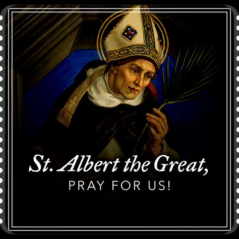 St. Albert the Great St Albert The Great, Good Morning Beautiful Pictures, Pray For Us, Good Morning Beautiful, Catholic Church, Beautiful Pictures, Good Morning