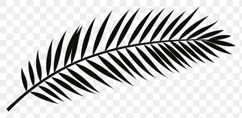 Fern Drawing, Tropical Drawing, Leaves Black And White, Black And White Tropical, Drawing Black And White, Black And White Illustrations, Leaf Silhouette, Drawing Black, Black And White Illustration