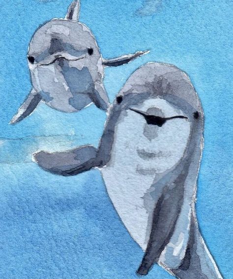 Dolphin Paintings, Sea Animals Drawing, Dolphin Drawing, Dolphin Painting, Coastal Watercolor, Sea Creatures Art, Animals Drawing, Dolphin Art, Posca Art