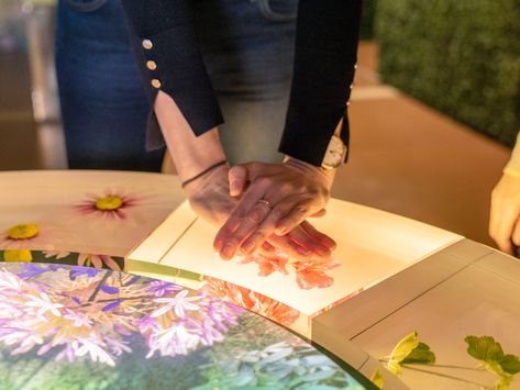 Kossmanndejong Designs 'The Story of Gardening' Exhibition at the Newt in Somerset Water Pavilion, History Of Chocolate, Museum Exhibition Design, Interactive Exhibition, Wellcome Collection, Interactive Presentation, Design Workshop, Museum Displays, Interactive Installation