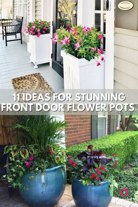 Front Porch Decor With Plants, Front Porch Steps Decor Potted Plants, Entryway Potted Plants Front Entrances, Front Porch Container Plants, Porch Potted Plant Ideas, Front Step Flower Pots, Front Porch Ideas Plants, Front Porch Planter Ideas Entrance Flower Pots, Front Yard Potted Plants