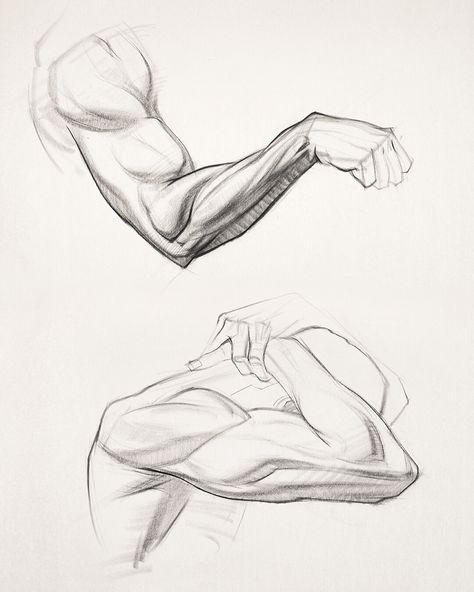 Anatomy Art Page, Stan Prokopenko on ArtStation at https://www.artstation.com/artwork/yblPwn Proko Anatomy Arm, Proko Drawing, Arms Sketch, Anatomy Arms, Proko Anatomy, Arm Sketch, Arm References, Hands Anatomy, Arms Reference