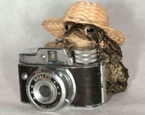 A Frog, Photographer