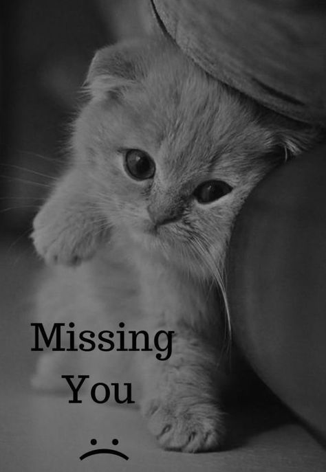 I Miss You, Miss You, Black And White, White, Black