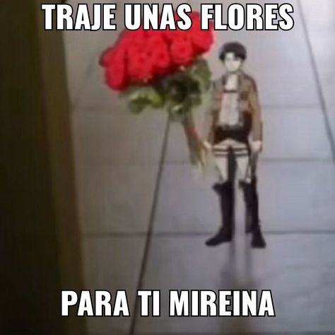 te traje una flor quiéreme te amo porfa bésame no es broma meme jaja no lol memes amorosos emojis amor emojis levi aot memes sticker WhatsApp sticker memes para enviar Levi Aot, Sticker Whatsapp, Whatsapp Sticker, Aot Memes, Lol Memes, Tom Kaulitz, Anime Stickers, Anime Memes, Humor