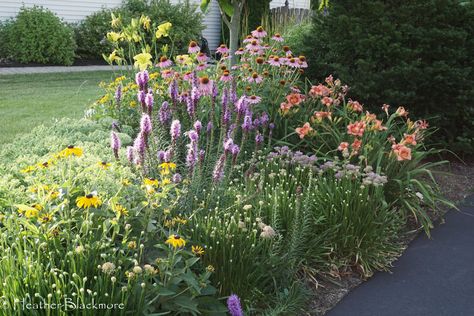 Landscape Sidewalk Border, Garden By Driveway, Wildflower Driveway Entrance, End Of Driveway Landscaping Country, Driveway Garden Beds, Flower Bed Next To Driveway, Wildflower Driveway, Lavender Driveway Border, Garden Next To Driveway