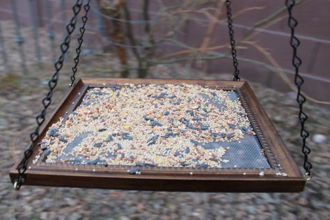 Platform Bird Feeder, Bird Feeder Plans, Squirrel Proof Bird Feeders, Homemade Bird Feeders, Tea Cup Bird Feeder, Old Picture Frames, Diy Bird Feeder, Paper Wall Hanging, Diy Birds