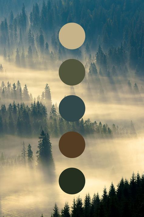 Colors Moodboard, Color Branding, Moodboard Inspiration, House Color Palettes, Forest Color, Nature Color Palette, Misty Forest, Palette Color, Mood Board Inspiration