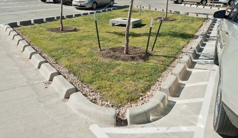 Storm Water Management, Guerrilla Gardening, Yard Drainage, Storm Water, Civil Engineering Design, Public Realm, Water Management, Cut Image, Parking Design