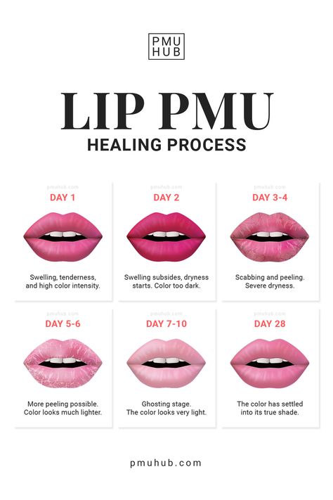 Lip tattoo ink requires a short healing process, but it's a small price to pay for waking up with flawless lips 💋 Here's what to expect through each phase of the recovery process. Brow Tattoo Healing Process, Lip Tattoo Healing Process, What Is Lip Blushing, Pmu Lips Healing Process, Lip Blushing Tattoo Healing, Lip Blush Healing Process, Pmu Aesthetics, Permanent Makeup Business, Lip Pmu