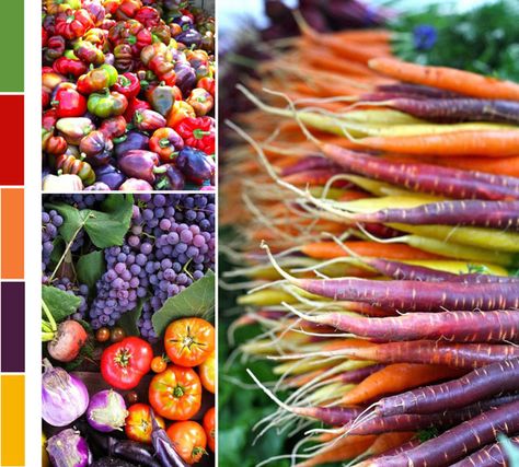 fall! Colorful Carrots, Rainbow Carrots, Colorful World, Fruit Vegetables, Fruit And Veg, Edible Garden, Farmer's Market, Beautiful Food, Fruits And Veggies