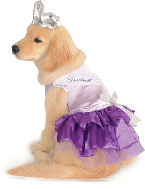 Purple Dress Style, Large Dog Costumes, Cat Dog Costume, Home Halloween Costumes, Pageant Queen, Cat Halloween Costume, Pet Halloween Costumes, Funny Costumes, Dog Halloween Costumes